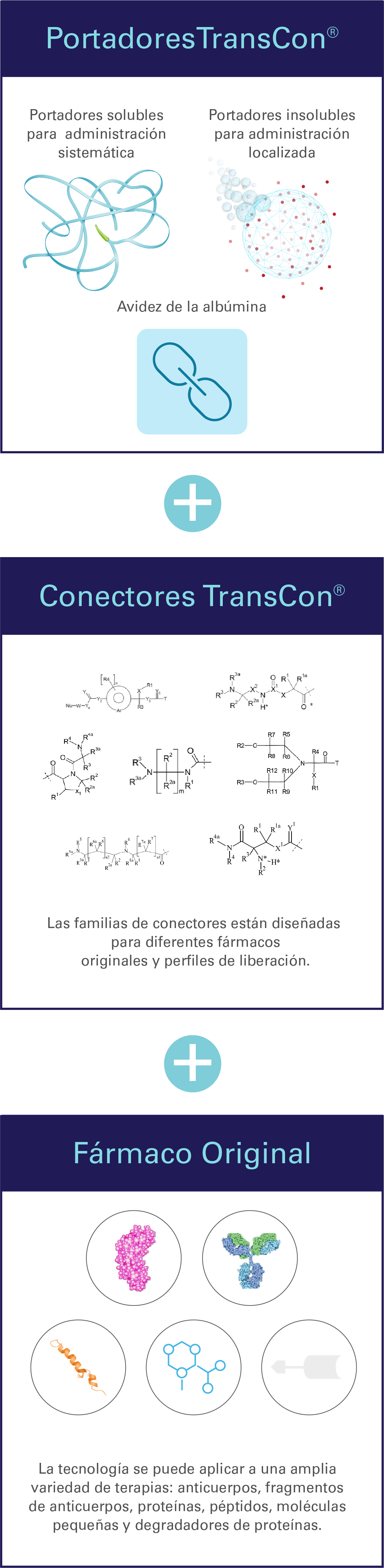 Mobile-TCTechnologyTransientConjugationGraphic-TRANSPARENT_v2@2x